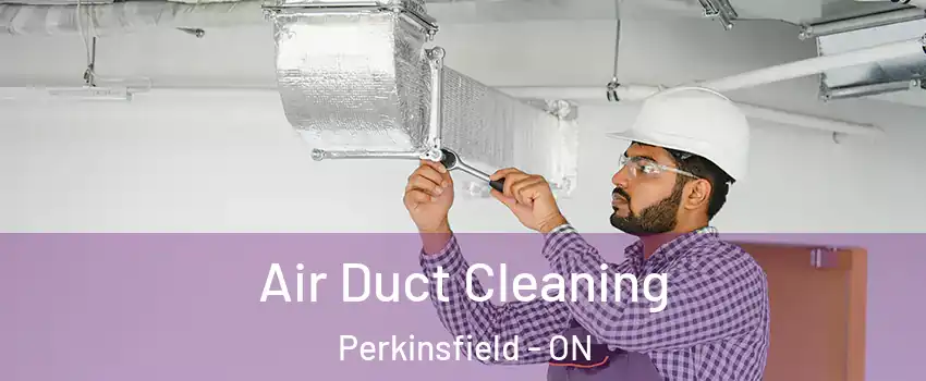  Air Duct Cleaning Perkinsfield - ON