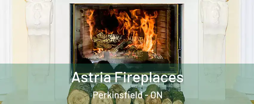  Astria Fireplaces Perkinsfield - ON