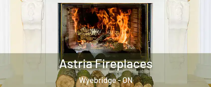  Astria Fireplaces Wyebridge - ON