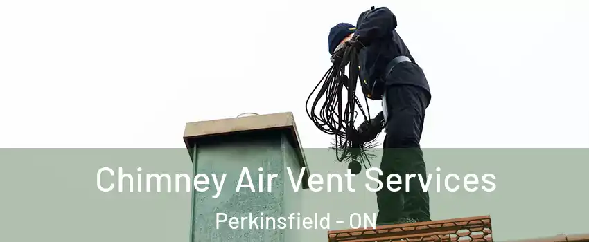 Chimney Air Vent Services Perkinsfield - ON