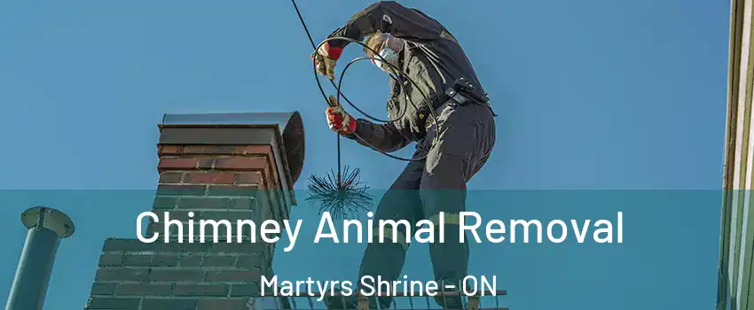  Chimney Animal Removal Martyrs Shrine - ON