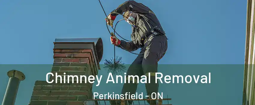  Chimney Animal Removal Perkinsfield - ON
