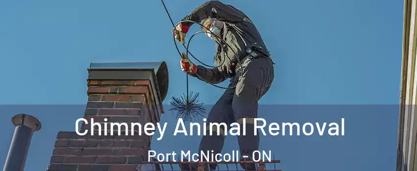  Chimney Animal Removal Port McNicoll - ON