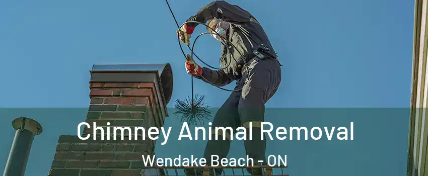  Chimney Animal Removal Wendake Beach - ON