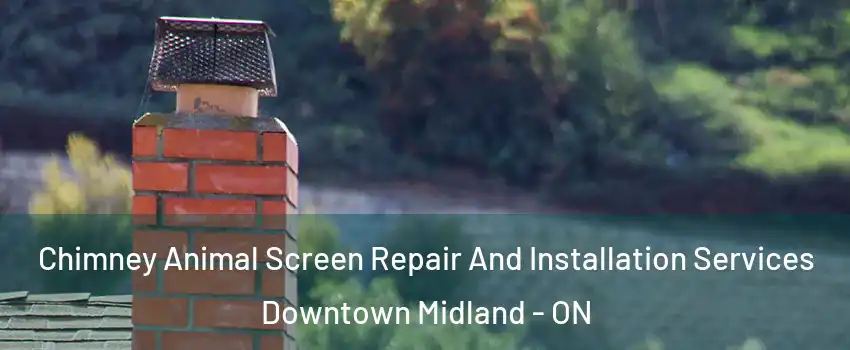  Chimney Animal Screen Repair And Installation Services Downtown Midland - ON
