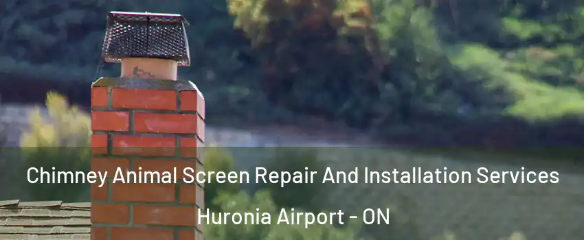  Chimney Animal Screen Repair And Installation Services Huronia Airport - ON