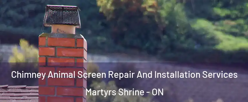  Chimney Animal Screen Repair And Installation Services Martyrs Shrine - ON