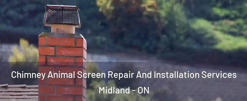  Chimney Animal Screen Repair And Installation Services Midland - ON
