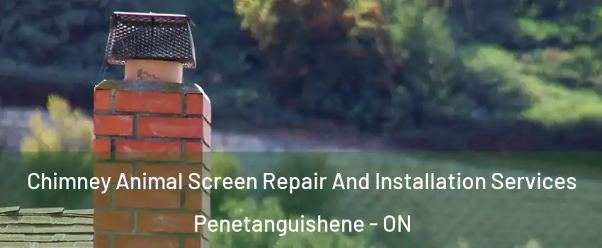  Chimney Animal Screen Repair And Installation Services Penetanguishene - ON