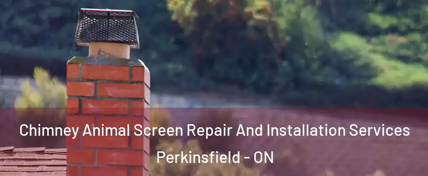  Chimney Animal Screen Repair And Installation Services Perkinsfield - ON