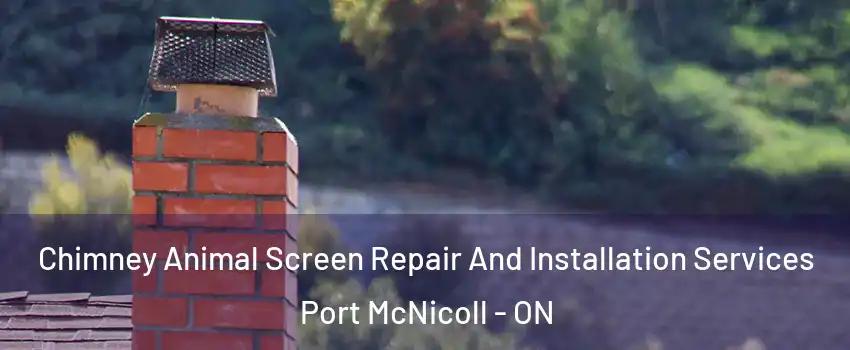  Chimney Animal Screen Repair And Installation Services Port McNicoll - ON