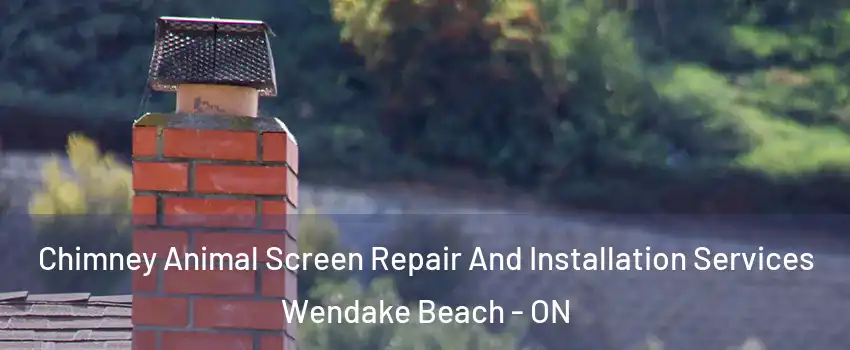  Chimney Animal Screen Repair And Installation Services Wendake Beach - ON