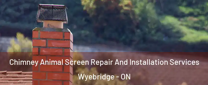  Chimney Animal Screen Repair And Installation Services Wyebridge - ON
