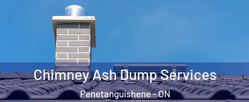 Chimney Ash Dump Services Penetanguishene - ON