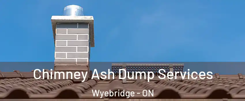  Chimney Ash Dump Services Wyebridge - ON