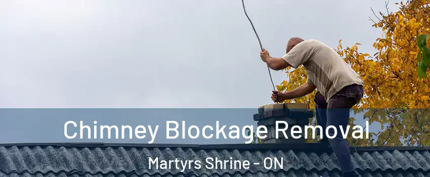 Chimney Blockage Removal Martyrs Shrine - ON