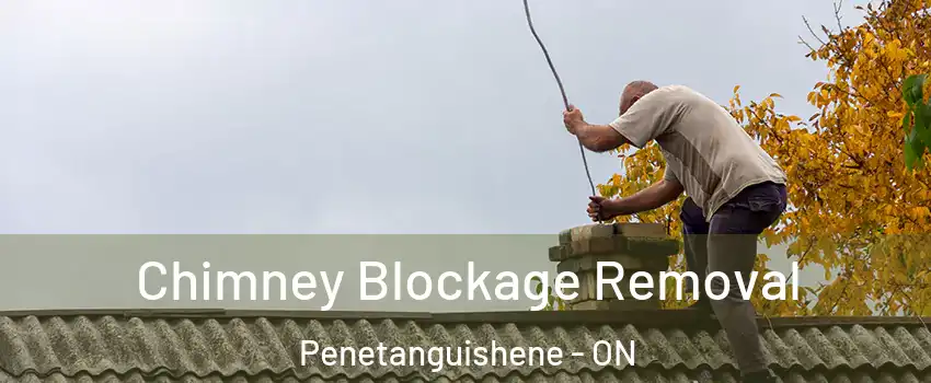  Chimney Blockage Removal Penetanguishene - ON