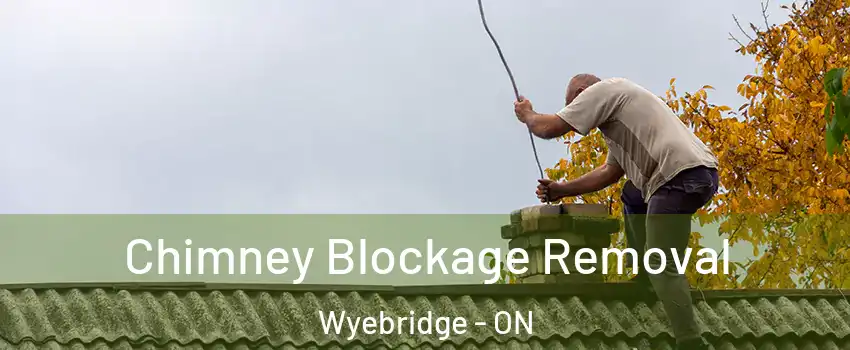  Chimney Blockage Removal Wyebridge - ON