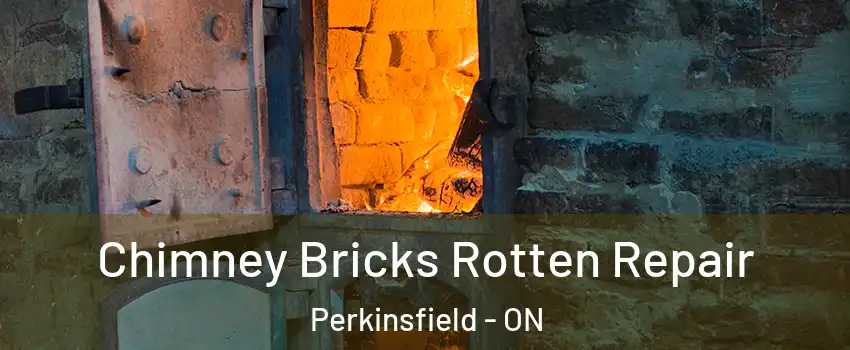  Chimney Bricks Rotten Repair Perkinsfield - ON