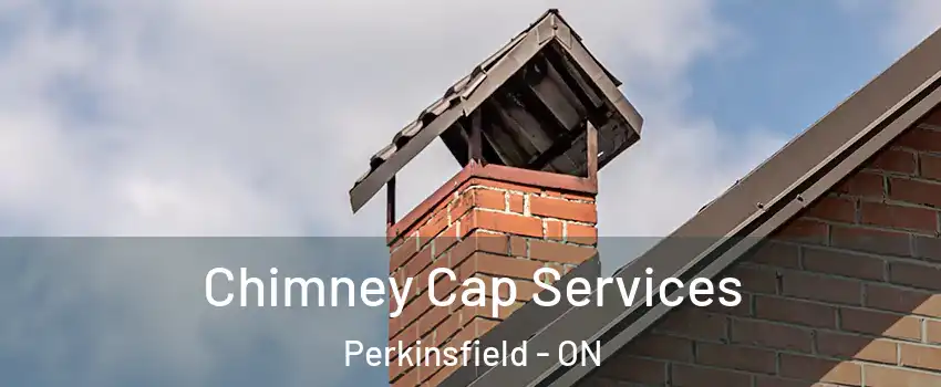  Chimney Cap Services Perkinsfield - ON