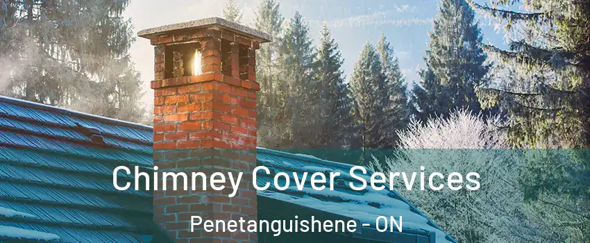  Chimney Cover Services Penetanguishene - ON