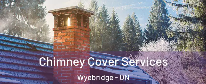  Chimney Cover Services Wyebridge - ON