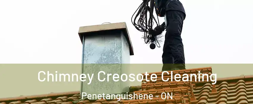  Chimney Creosote Cleaning Penetanguishene - ON