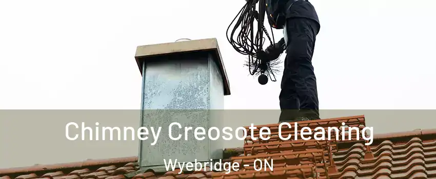  Chimney Creosote Cleaning Wyebridge - ON