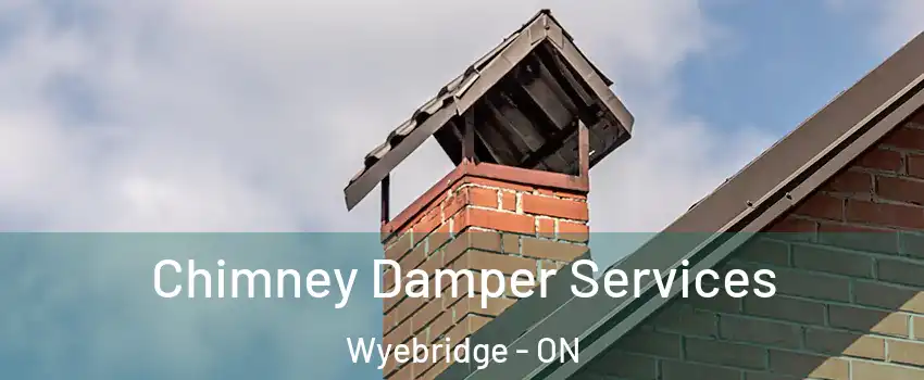  Chimney Damper Services Wyebridge - ON