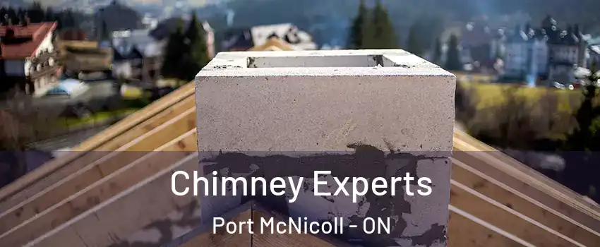  Chimney Experts Port McNicoll - ON