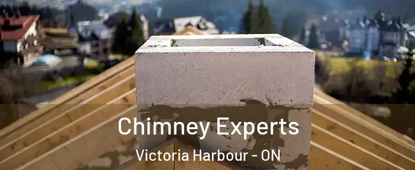  Chimney Experts Victoria Harbour - ON