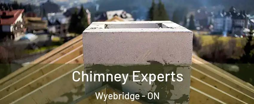  Chimney Experts Wyebridge - ON