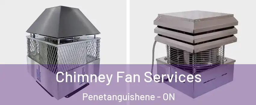  Chimney Fan Services Penetanguishene - ON