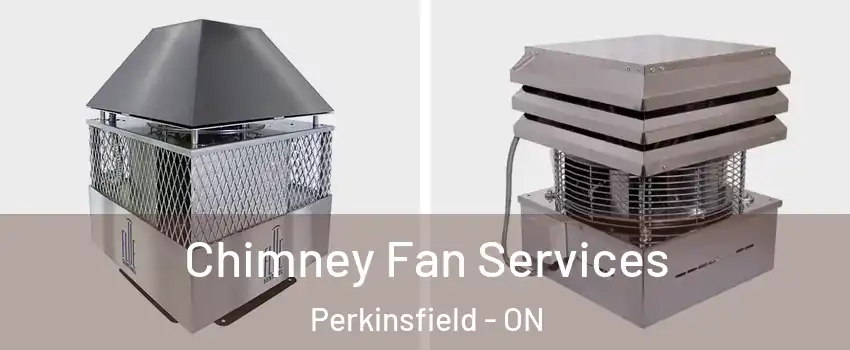  Chimney Fan Services Perkinsfield - ON