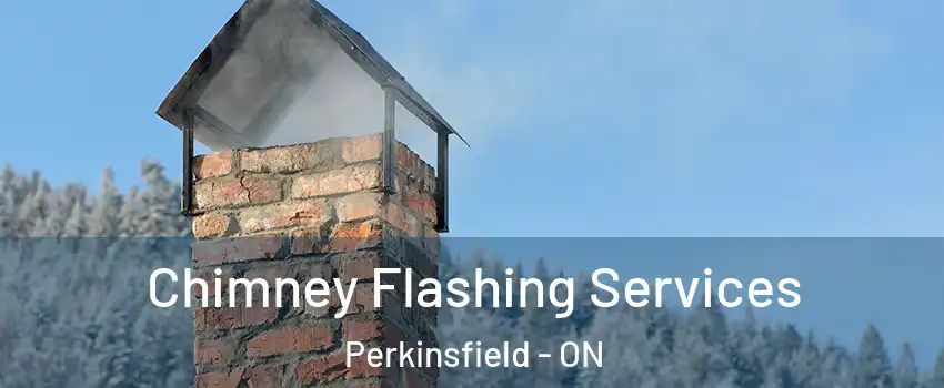  Chimney Flashing Services Perkinsfield - ON