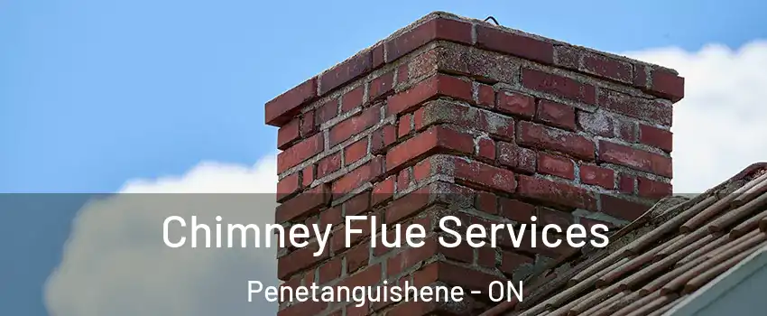  Chimney Flue Services Penetanguishene - ON