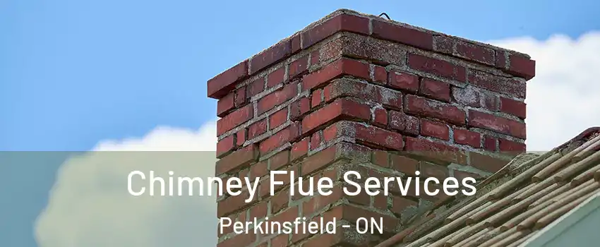  Chimney Flue Services Perkinsfield - ON