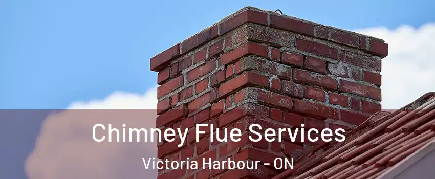  Chimney Flue Services Victoria Harbour - ON