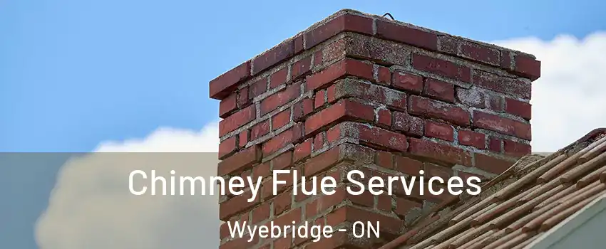  Chimney Flue Services Wyebridge - ON