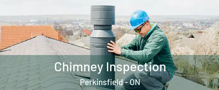  Chimney Inspection Perkinsfield - ON