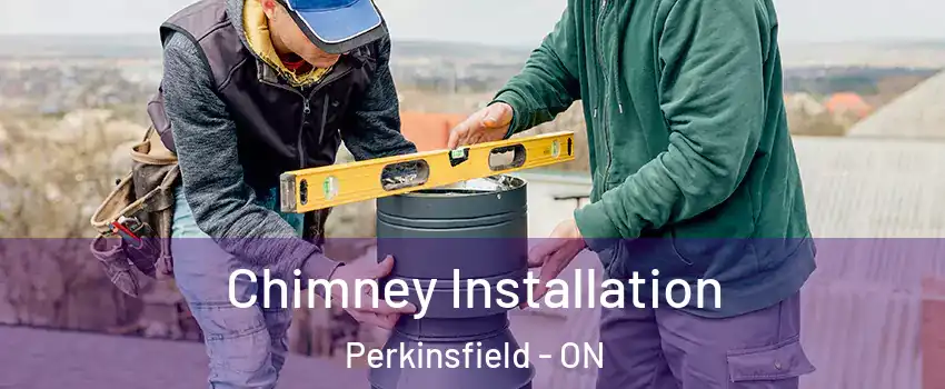  Chimney Installation Perkinsfield - ON