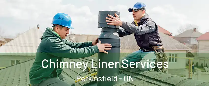  Chimney Liner Services Perkinsfield - ON