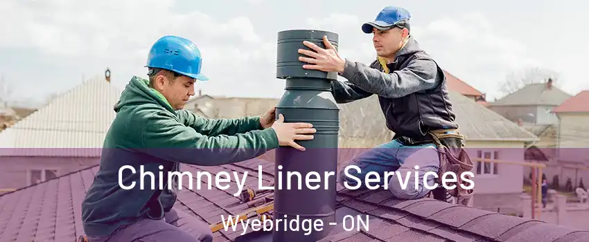  Chimney Liner Services Wyebridge - ON