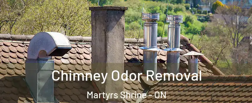  Chimney Odor Removal Martyrs Shrine - ON