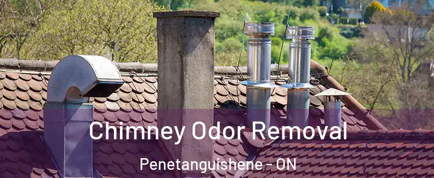  Chimney Odor Removal Penetanguishene - ON