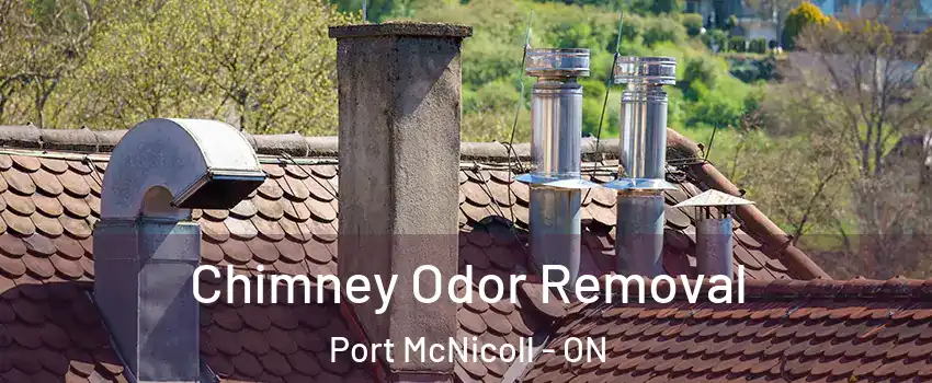  Chimney Odor Removal Port McNicoll - ON