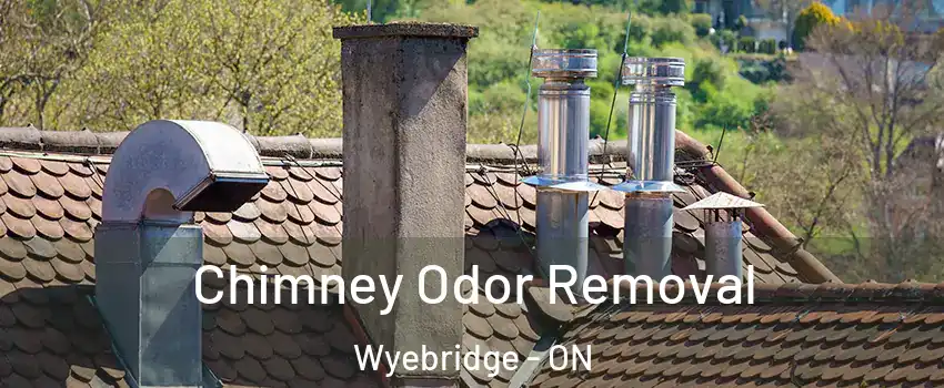  Chimney Odor Removal Wyebridge - ON