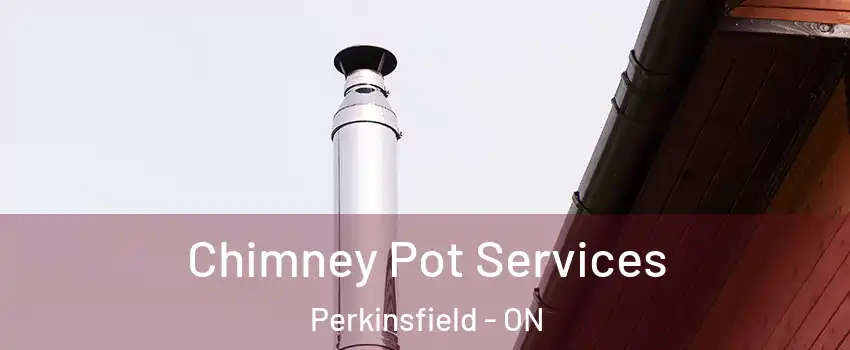  Chimney Pot Services Perkinsfield - ON