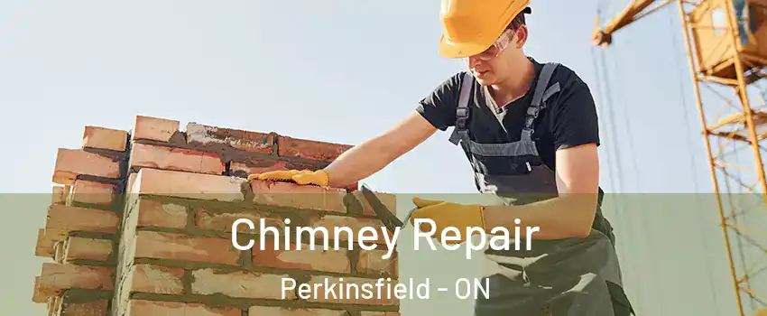 Chimney Repair Perkinsfield - ON
