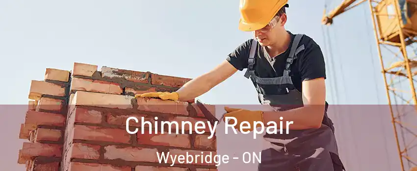  Chimney Repair Wyebridge - ON